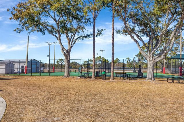 13247 DUPREE HILLS PLACE, Riverview, FL 33579