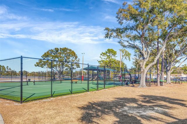 13247 DUPREE HILLS PLACE, Riverview, FL 33579