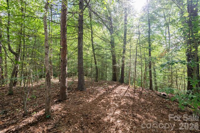 34 Wintercrest Drive, Candler, NC 28715