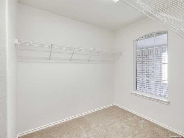 24822 CATALAN CLIFF, San Antonio, TX 78261