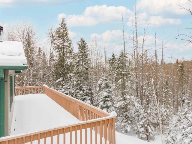 126 Big Bear Road, Iron River, MI 49935