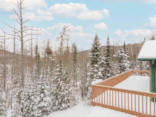 126 Big Bear Road, Iron River, MI 49935
