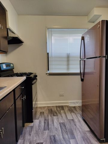 7910 S Muskegon Avenue 1, Chicago, IL 60617