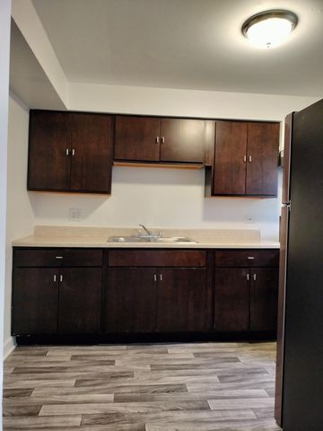 7910 S Muskegon Avenue 1, Chicago, IL 60617