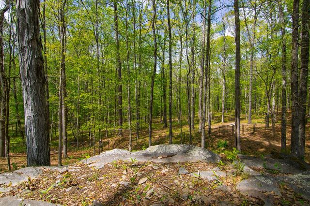 476 Wildwood Plantation Drive, Cataula, GA 31804