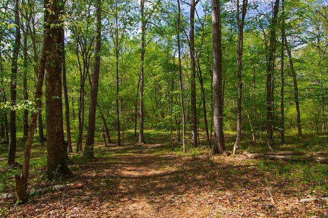 476 Wildwood Plantation Drive, Cataula, GA 31804