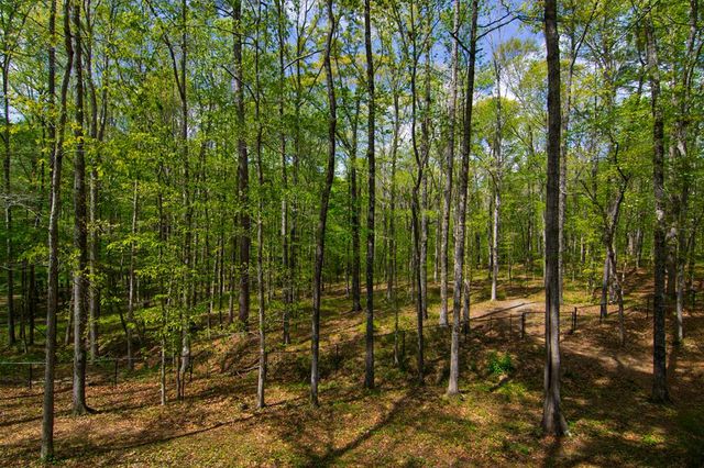 476 Wildwood Plantation Drive, Cataula, GA 31804