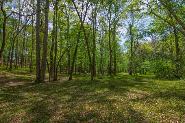 476 Wildwood Plantation Drive, Cataula, GA 31804