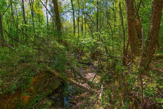 476 Wildwood Plantation Drive, Cataula, GA 31804