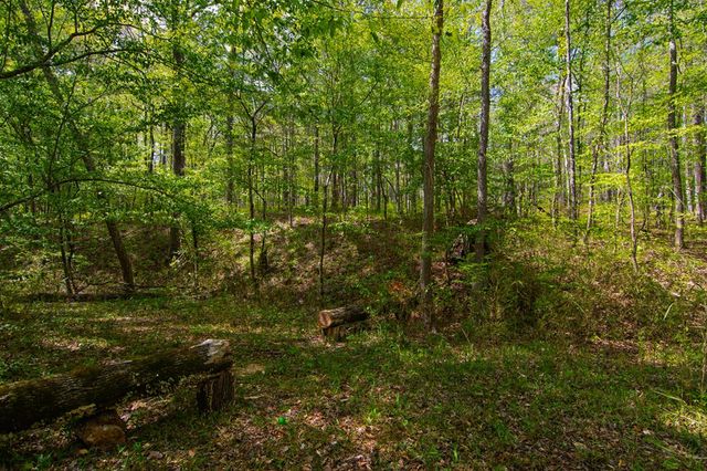 476 Wildwood Plantation Drive, Cataula, GA 31804