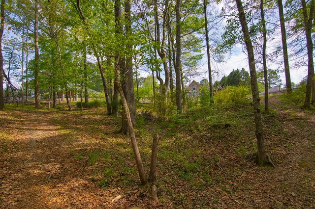 476 Wildwood Plantation Drive, Cataula, GA 31804