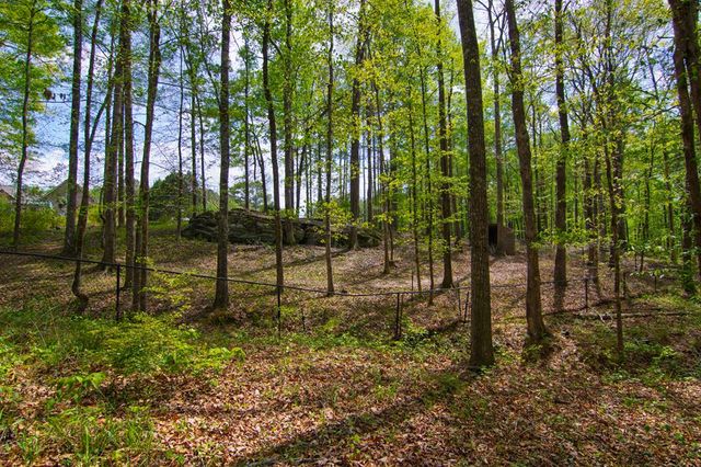 476 Wildwood Plantation Drive, Cataula, GA 31804