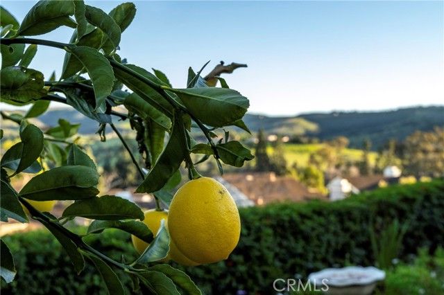 20 Southern Wood, Irvine, CA 92603