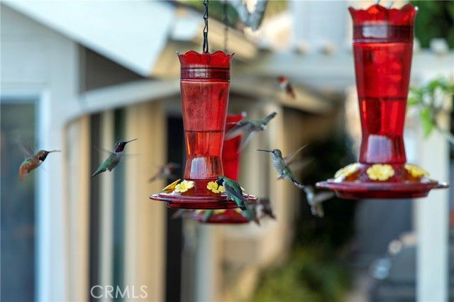 20 Southern Wood, Irvine, CA 92603