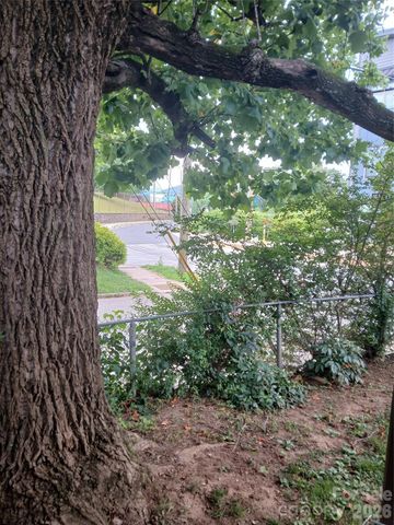 344 W Haywood Street, Asheville, NC 28801
