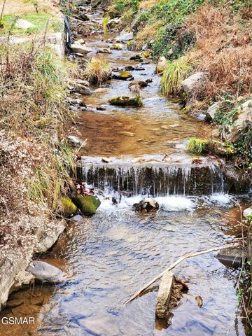 569 Baskins Creek Road, Gatlinburg, TN 37738