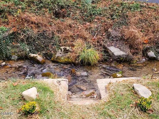 569 Baskins Creek Road, Gatlinburg, TN 37738