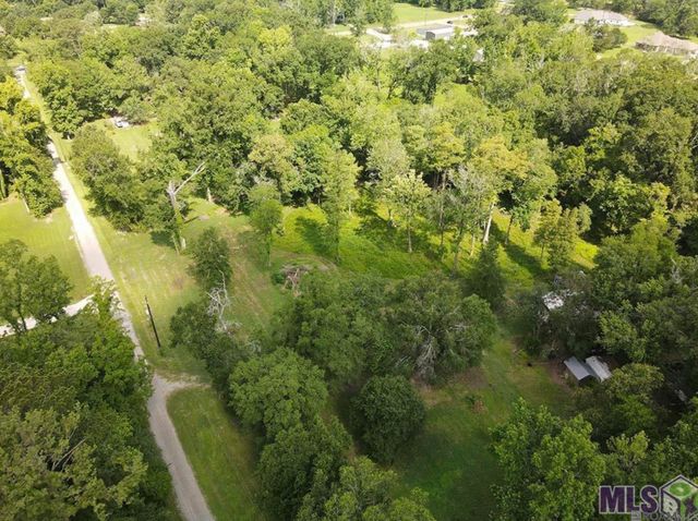 42082 Maples Ln, Gonzales, LA 70737