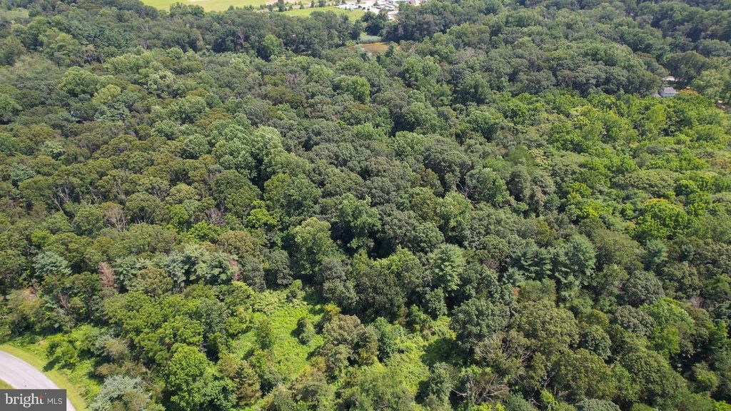 0 BIRCH LANE, PILESGROVE, NJ 08098 — photo 4