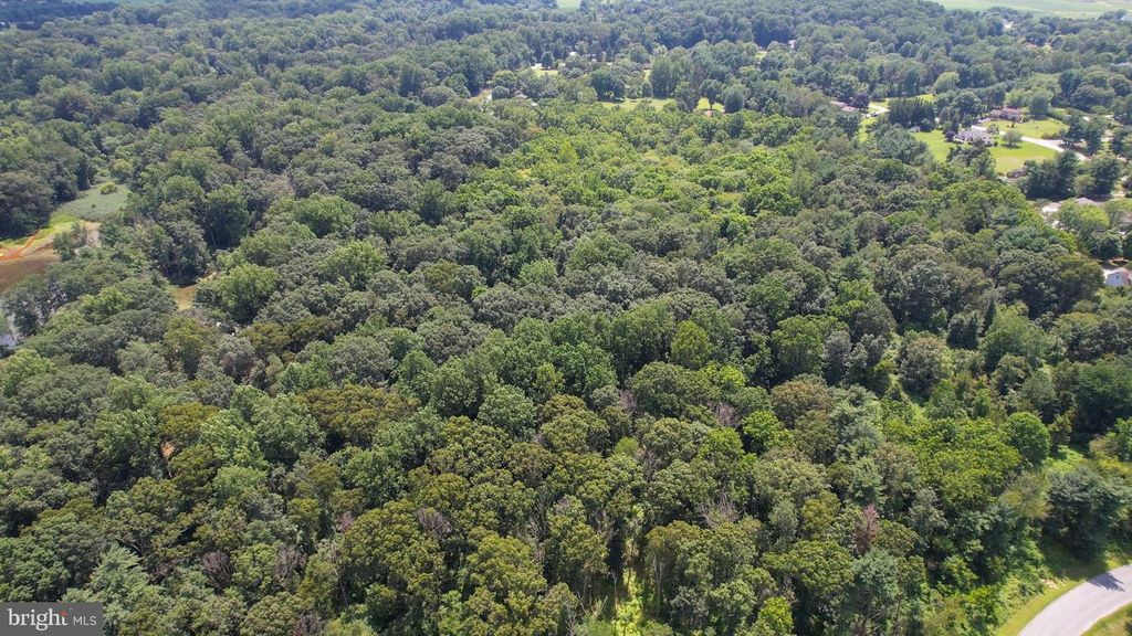 0 BIRCH LANE, PILESGROVE, NJ 08098 — photo 5