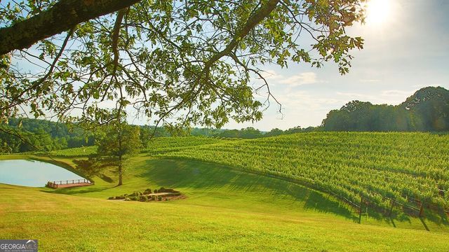 42 Rustin Ridge 285, Dahlonega, GA 30533