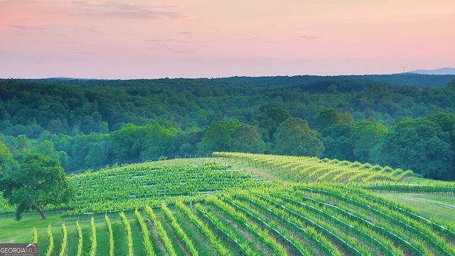 42 Rustin Ridge 285, Dahlonega, GA 30533