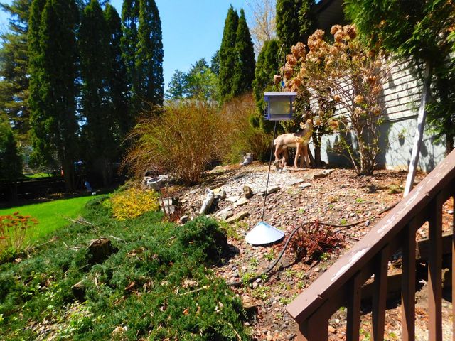 200 Colleen Avenue, Shoreview, MN 55126