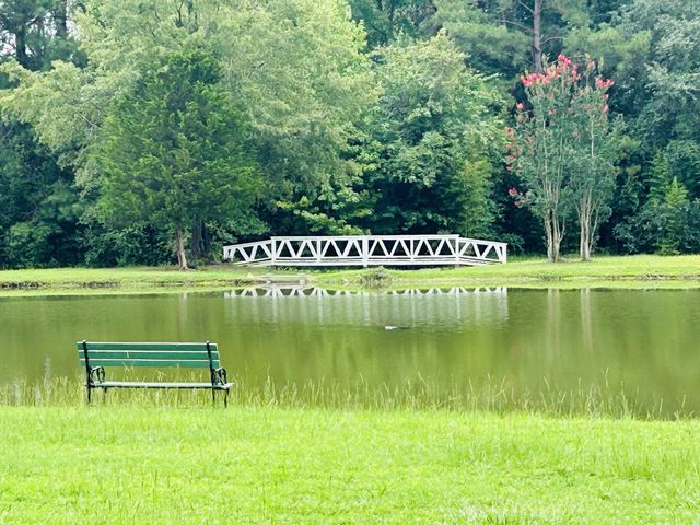 4 Thomas Walter Circle, Santee, SC 29142