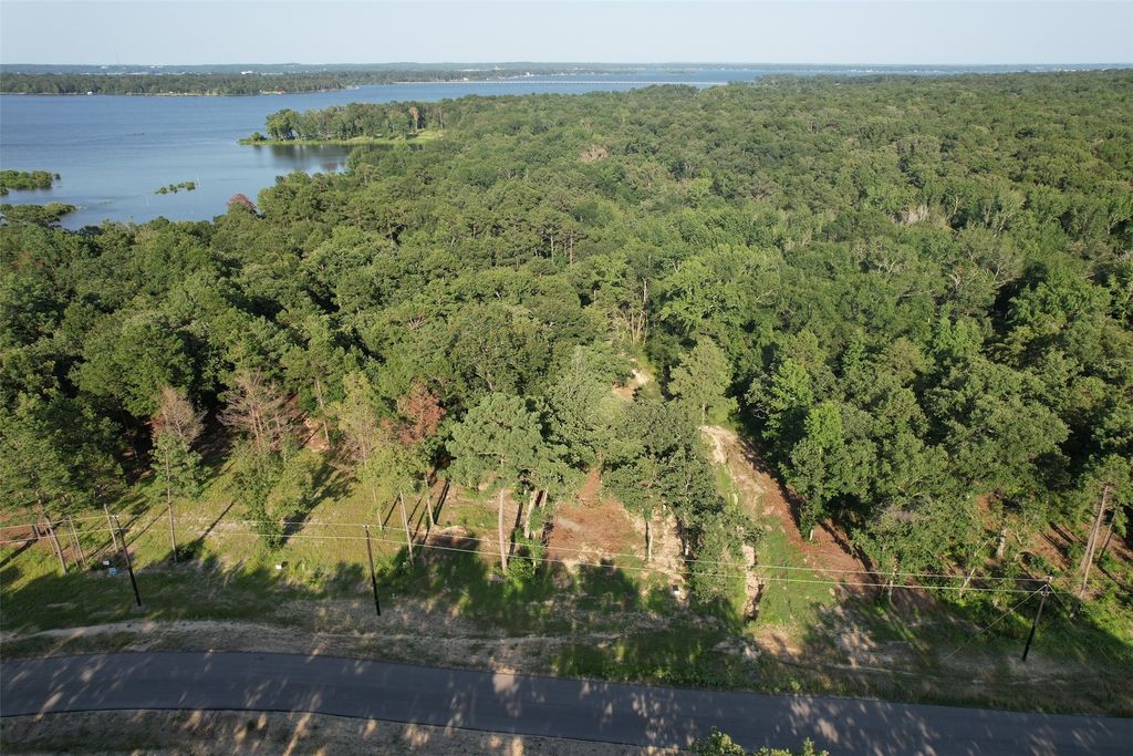 3242 Shadow Pine Drive, Larue, TX 75770