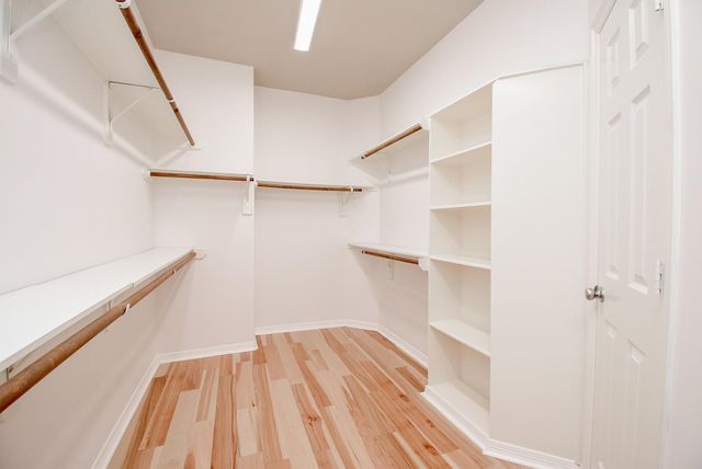 155 White Drive, Bellaire, TX 77401