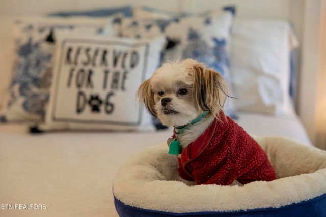 3005 Cambridge Shores Lane, Knoxville, TN 37938