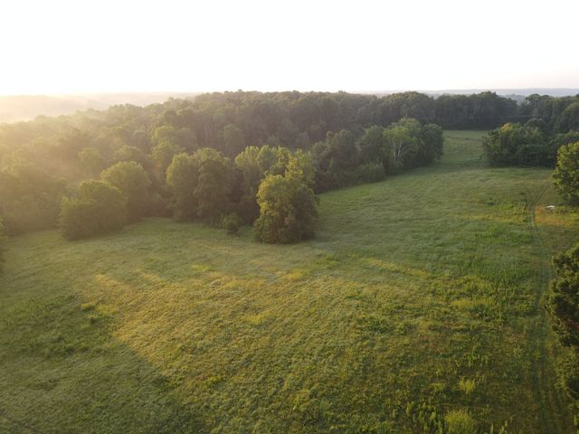 3 Shiloh Canaan Road, Palmyra, TN 37142