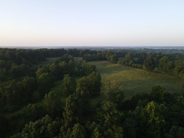 3 Shiloh Canaan Road, Palmyra, TN 37142