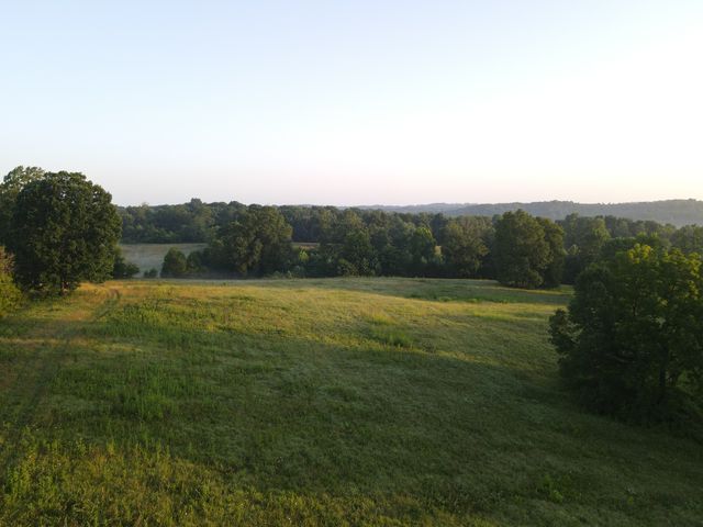 3 Shiloh Canaan Road, Palmyra, TN 37142