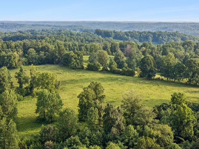 3 Shiloh Canaan Road, Palmyra, TN 37142