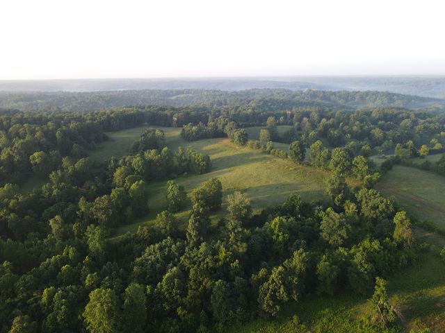 3 Shiloh Canaan Road, Palmyra, TN 37142