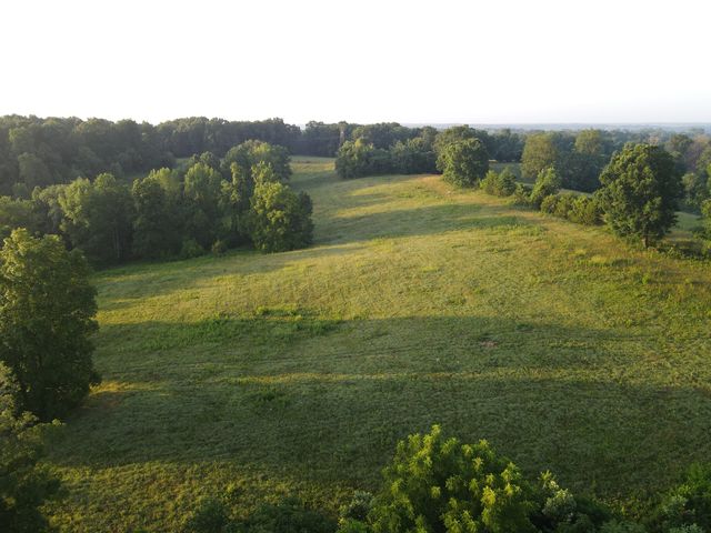 3 Shiloh Canaan Road, Palmyra, TN 37142