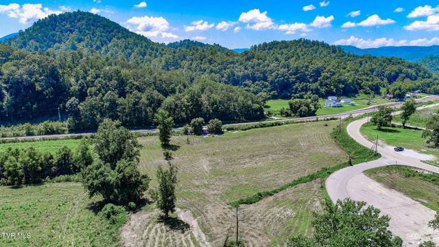 130 & 110 Only Way, Del Rio, TN 37727