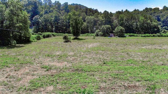 130 & 110 Only Way, Del Rio, TN 37727