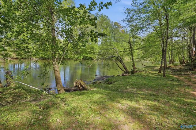 151 Riverwalk Trail, New Market, AL 35761