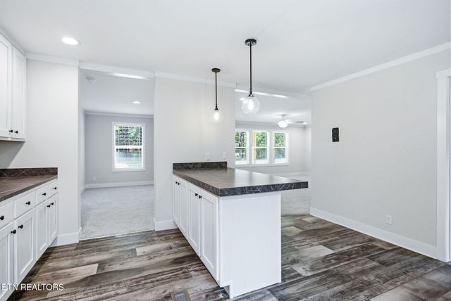 200 Sable Rd, Spring City, TN 37381