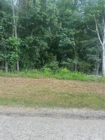 TBD Cedar Valley Drive, Coldspring, TX 77331