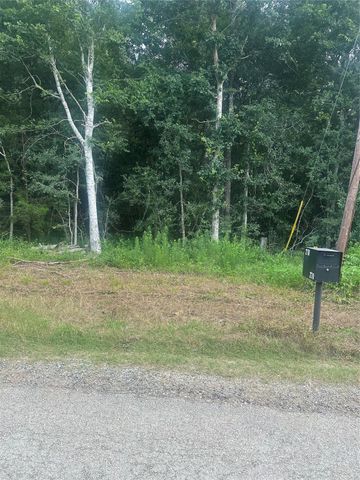 TBD Cedar Valley Drive, Coldspring, TX 77331
