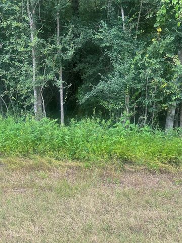 TBD Cedar Valley Drive, Coldspring, TX 77331