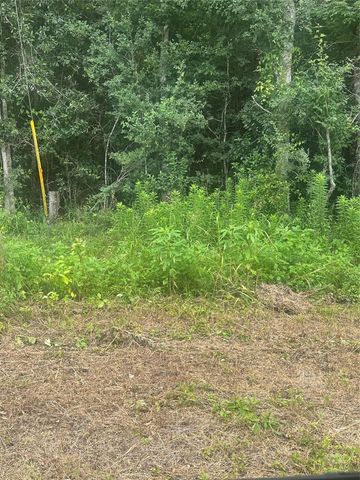 TBD Cedar Valley Drive, Coldspring, TX 77331