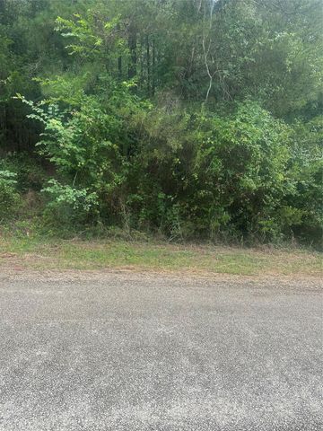 TBD Cedar Valley Drive, Coldspring, TX 77331