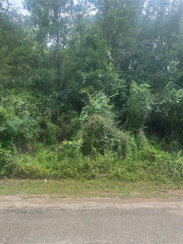 TBD Cedar Valley Drive, Coldspring, TX 77331