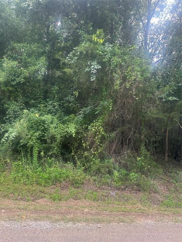 TBD Cedar Valley Drive, Coldspring, TX 77331