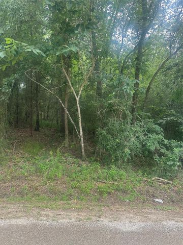 TBD Cedar Valley Drive, Coldspring, TX 77331