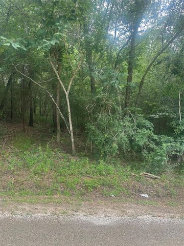 TBD Cedar Valley Drive, Coldspring, TX 77331